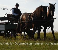 Romania Județul Covasna Zăbala vacation rental compare prices direct by owner 33637847