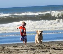 United States Washington Ocean Shores vacation rental compare prices direct by owner 34534164