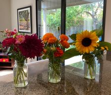 United States California Sonoma vacation rental compare prices direct by owner 676844