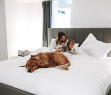 United States California Los Angeles vacation rental compare prices direct by owner 1295406