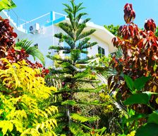 Sri Lanka Tangalle Tangalle vacation rental compare prices direct by owner 5840174