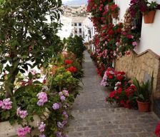 Spain Andalucía El Gastor vacation rental compare prices direct by owner 6886822