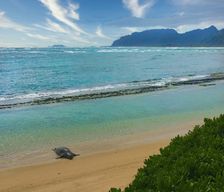 United States Hawaii Laie vacation rental compare prices direct by owner 106653