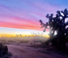 United States California Yucca Valley vacation rental compare prices direct by owner 24910871