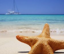 Seychelles  Anse Royale vacation rental compare prices direct by owner 29305032