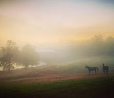 United States Georgia McDonough vacation rental compare prices direct by owner 11422330