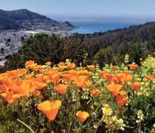 United States California Pacifica vacation rental compare prices direct by owner 11495089