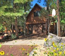 United States Arizona Pinetop-Lakeside vacation rental compare prices direct by owner 9684269