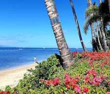 United States Hawaii Lahaina vacation rental compare prices direct by owner 10951231