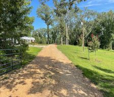United States Mississippi Natchez vacation rental compare prices direct by owner 29409842