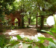 Mali Bamako Capital District Bamako vacation rental compare prices direct by owner 10852882