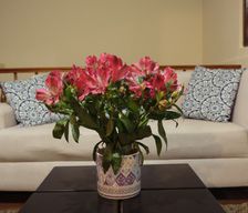 Ecuador Azuay Cuenca vacation rental compare prices direct by owner 13407002