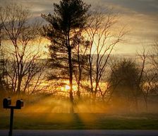 United States Illinois Murphysboro vacation rental compare prices direct by owner 12265223