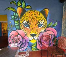 El Salvador Chalatenango Department Concepcion Quezaltepeque vacation rental compare prices direct by owner 29757672