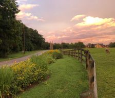 United States Illinois Ozark vacation rental compare prices direct by owner 24677527