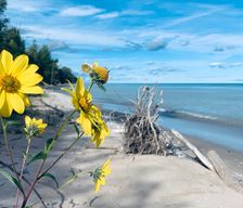 United States Wisconsin Kewaunee vacation rental compare prices direct by owner 24320486
