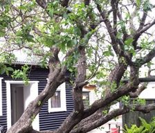 Iceland  Hveragerði vacation rental compare prices direct by owner 29689659
