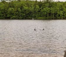 United States New Hampshire Milton vacation rental compare prices direct by owner 33184447