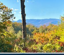 United States North Carolina Pisgah Forest vacation rental compare prices direct by owner 25496918