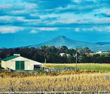 United States Virginia Timberville vacation rental compare prices direct by owner 26595076
