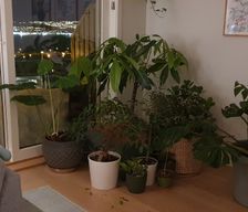 Norway Troms og Finnmark Tomasjord vacation rental compare prices direct by owner 35650122