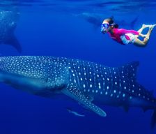 Maldives Alif Dhaal Atoll Dhan'gethi vacation rental compare prices direct by owner 25590454