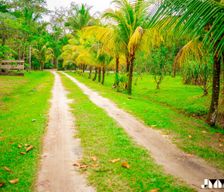 Suriname Wanica Lelydorp vacation rental compare prices direct by owner 29644994