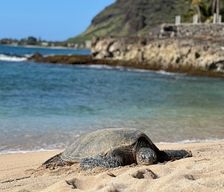 United States Hawaii Waianae vacation rental compare prices direct by owner 28848976