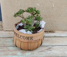 Israel South District Ashalim vacation rental compare prices direct by owner 28447141