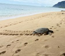United States Hawaii Hauula vacation rental compare prices direct by owner 28608107