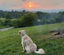 United States North Carolina Etowah vacation rental compare prices direct by owner 29139365