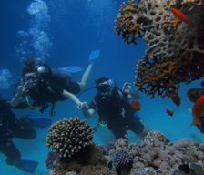 Maldives Kaafu Atoll Thulusdhoo vacation rental compare prices direct by owner 33035402