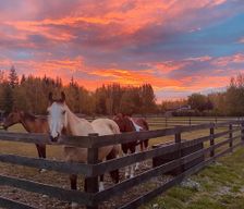 United States Alaska North Pole vacation rental compare prices direct by owner 32624408