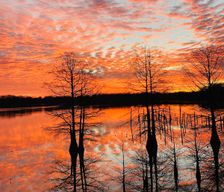 United States Arkansas Hughes vacation rental compare prices direct by owner 33141872