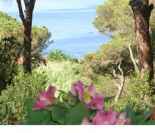 Italy Italy Capoliveri vacation rental compare prices direct by owner 6401177