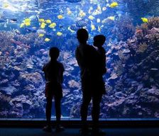 United States Hawaii Kihei vacation rental compare prices direct by owner 32533075