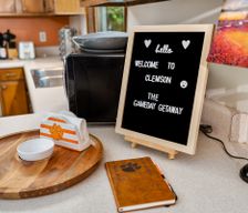 United States South Carolina Clemson vacation rental compare prices direct by owner 36050133