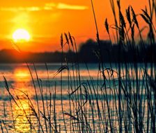 United States Delaware Milton vacation rental compare prices direct by owner 36666601