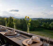United States North Carolina Mills River vacation rental compare prices direct by owner 36825731