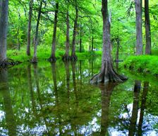 United States Texas Wimberley vacation rental compare prices direct by owner 37715314