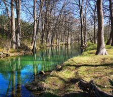 United States Texas Wimberley vacation rental compare prices direct by owner 19867697