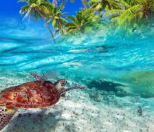 United States Hawaii Kahuku vacation rental compare prices direct by owner 2478564