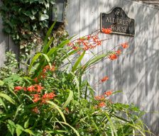 United Kingdom England Bourton-on-the-Water vacation rental compare prices direct by owner 24913424