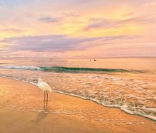 United States Florida Indian Shores vacation rental compare prices direct by owner 2614242