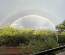 United States Arizona Tucson vacation rental compare prices direct by owner 11037779