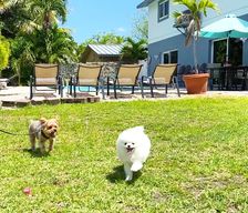 United States Florida Fort Lauderdale vacation rental compare prices direct by owner 11487659