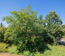 Germany Baden-Württemberg Immenstaad vacation rental compare prices direct by owner 5958800