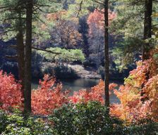 United States North Carolina Highlands vacation rental compare prices direct by owner 6325566