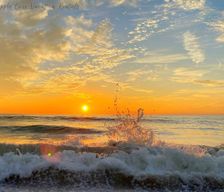 United States Florida Madeira Beach vacation rental compare prices direct by owner 15568634