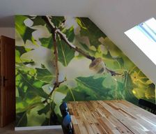 Poland Pomorskie Borowy Młyn vacation rental compare prices direct by owner 24129138